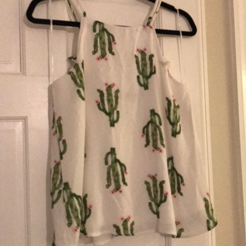 Francesca’s Cacti Tank